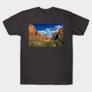 Zion National Park T-Shirt